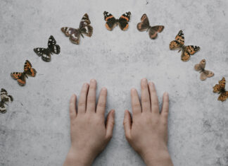 SKRIVENI SVIJET KUKACA (17.SVIBNJA 2018.)