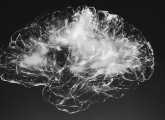 TJEDAN MOZGA (11.-17.3.2019.)