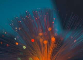 NASTUPNO PREDAVANJE DR.SC. ŽELJKE LONČARIĆ – (9.10.2019.)