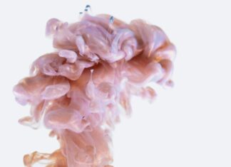 PREDAVANJE “CRIJEVA – NAŠ DRUGI MOZAK” (30.6.2020.)