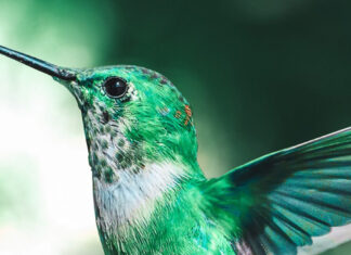 14. HRVATSKI BIOLOŠKI KONGRES – POZIV