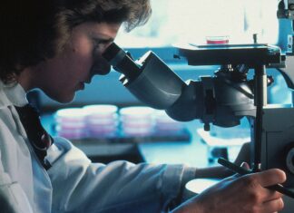 DAN ŽENA I DJEVOJAKA U ZNANOSTI – 11.02.