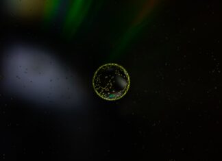 ALUMNI BIOLOS ONLINE PREDAVANJE 2022.: MAKROALGE – SKRIVENO BOGATSTVO JADRANSKOG MORA