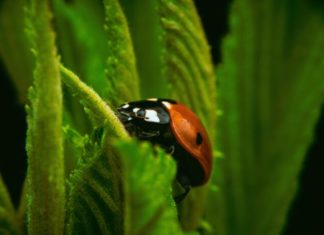 Učitelj/ica prirode i biologije, rok – 1.6.2022.