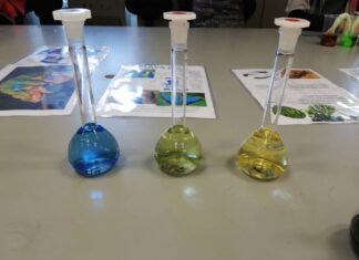 FESTIVAL ZNANOSTI (8-13.4.2019.)