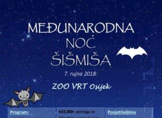 MEĐUNARODNA NOĆ ŠIŠMIŠA (7. RUJNA 2018.)