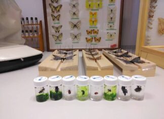 PROJEKT POPULARIZACIJE “BIOLOG-I-JA” (30.3.2019.)