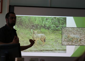 PREDAVANJE „PRIRODNE VRIJEDNOSTI SLATINE I OKOLICE – 10 GODINA ISTRAŽIVANJA I PROMICANJA“ (16.4.2019.)