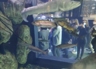 POSJET STUDENATA JAVNOJ USTANOVI AQUATIKA – SLATKOVODNI AKVARIJ KARLOVAC