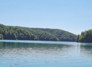 PREDAVANJE: PRIMJENA MOLEKULARNIH METODA U KARAKTERIZACIJI MIKROBNIH ZAJEDNICA VODENIH EKOSUSTAVA