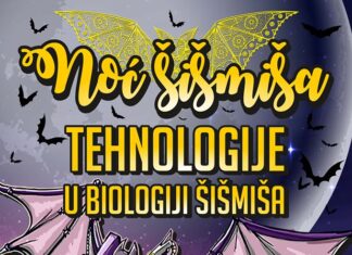 NOĆ ŠIŠMIŠA (13.9.2019.)