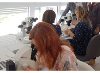 RADIONICA: JAVNOZDRAVSTVENI ZNAČAJ KOMARACA