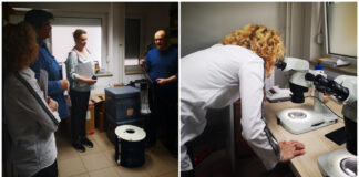 ODRŽANA RADIONICA: JAVNOZDRAVSTVENI ZNAČAJ KOMARACA