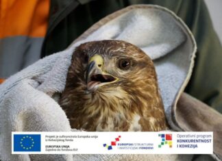 RADIONICA “JAČANJE SVIJESTI JAVNOSTI O OČUVANJU DIVLJIH STROGO ZAŠTIĆENIH ŽIVOTINJA S PROSTORA RH KOJE SE ZBRINJAVAJU U OPORAVILIŠTIMA”