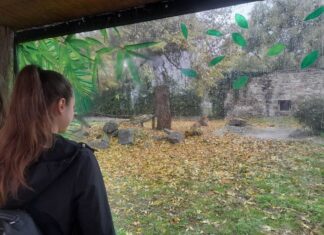 PROJEKT „SVJETSKI DAN ZAŠTITE ŽIVOTINJA U ZOOLOŠKOM VRTU OSIJEK“