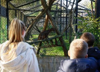 SVJETSKI DAN ZAŠTITE ŽIVOTINJA U ZOOLOŠKOM VRTU OSIJEK