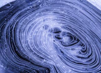 Poslovi za diplomirane nastavnike biologije i kemije – rok – 11.1.2022.