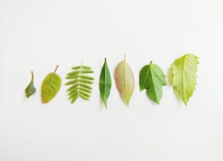 Nastavnik/ica biologije, učitelj/ica prirode, učitelj/ica prirode i biologije – rok 19.3.2022.