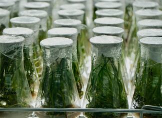 Učitelj/ica kemije i biologije, – rok 17.5.2022.
