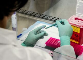 Nuša Matijašec, University of Ljubljana, Slovenija