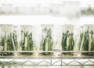 OBAVIJEST O PISMENIM ISPITIMA IZ KOLEGIJA FIZIOLOGIJA BILJA 1, EKOLOGIJA BILJA I MOLEKULARNA EKOFIZIOLOGIJA BILJAKA