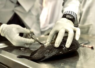 Biotehnolog za potrebe kliničkog zavoda za patologiju i citologiju (M/Ž)