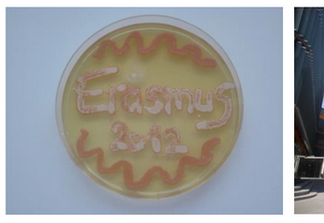 Dina Vorkapić – Moje ERASMUS iskustvo