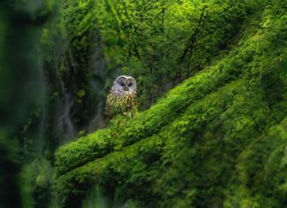 Učitelj/ica prirode i biologije – rok 9.2.2022.