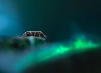 Nastavnik/ica biologije – učitelj/ica kemije – rok 10.2.2022.