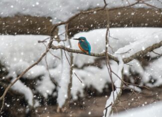 Poslovi za diplomirane nastavnike biologije i kemije – rok 29.1.2022.