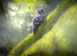 Poslovi za diplomirane nastavnike biologije i kemije – rok 3.2.2022.