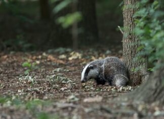Nastavnik/nastavnica biologije – nastavnik/nastavnica kemije