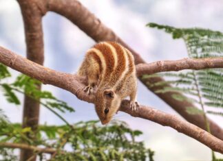 Nastavnik/nastavnica biologije – rok 12.2.2022.