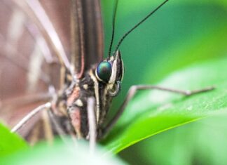 Učitelj/ica prirode – učitelj/ica kemije – rok 17.2.2022.