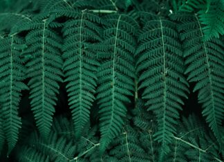 Učitelj/ica prirode, biologije i kemije, učitelj/učiteljica biologije, suradnik/ca za rad na projektu “Usluga razvoja programa praćenja za vrste i stanišne tipove od interesa za EU”, učitelj/učiteljica kemije, učitelj/ica kemije – rok 24.2.2022.