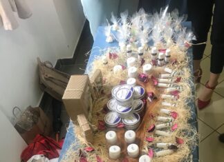 2. DANI MLADIH ISTRAŽIVAČA (23-24.5. 2019.)