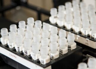 NASTUPNO PREDAVANJE DR.SC. IGNACIJE VLAŠIĆ