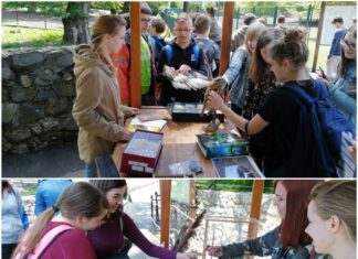 SVJETSKI DAN PTICA SELICA (10.5.2019.)