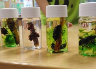 RADIONICA “KUKCI TO GO“ I „LABORATORIJ U BOJAMA“ (17.5.2019.)