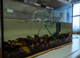 OBAVIJEST O ISPITIMA KOD DOC.DR.SC. JOVANOVIĆ GLAVAŠ