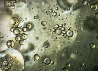 Poslovi za diplomirane nastavnike biologije i kemije – rok 18.1.2022.