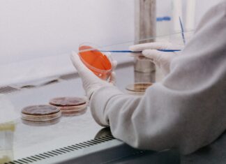 Biolog/biologinja – rok – 14.1.2022.