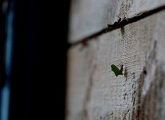 Stručni suradnik/stručna suradnica u Odjelu nadzora zaštite prirode – rok 25.2.2022.