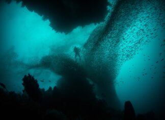 “Primarni producenti voda”