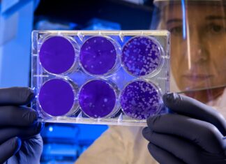 „Veliki svijet malih bakterija“