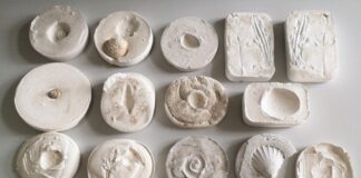 „Fosili – pogled u Zemljinu prošlost“