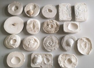 „Fosili – pogled u Zemljinu prošlost“