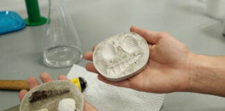 „Fosili – pogled u Zemljinu prošlost“