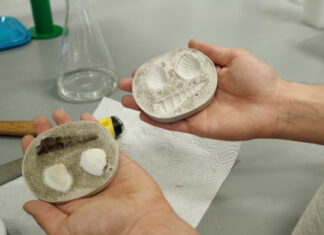 „Fosili – pogled u Zemljinu prošlost“