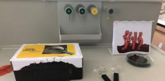 „Gujavice – inženjeri tla“